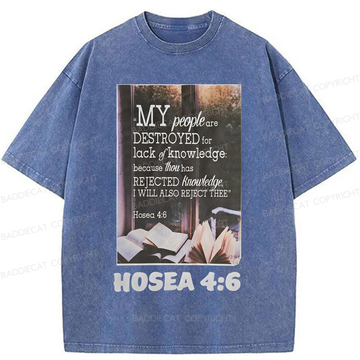 Baddiecat My People Have Been Destroyed Washed T-shirt