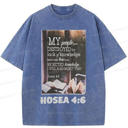 Baddiecat My People Have Been Destroyed Washed T-shirt