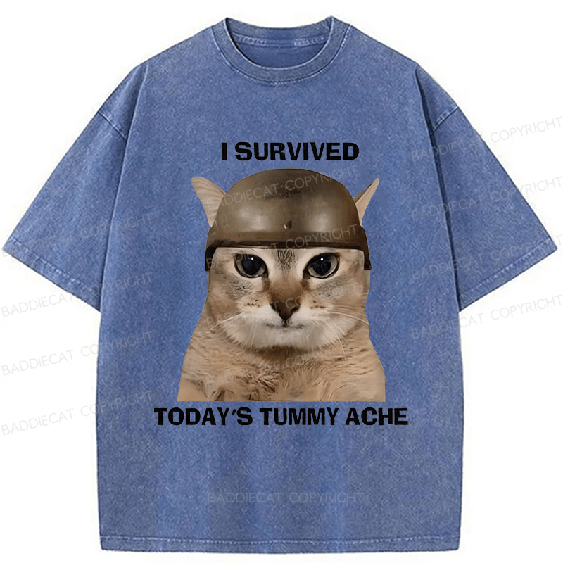 Baddiecat I Survived Today's Tummy Ache Washed T-shirt