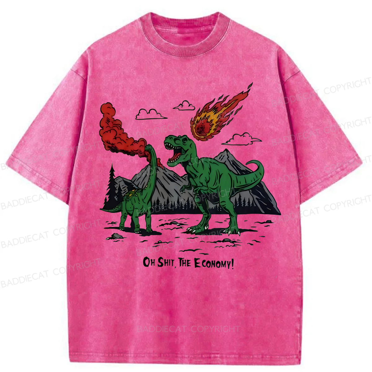 Baddiecat Funny Dinosaur Economy Washed T-shirt