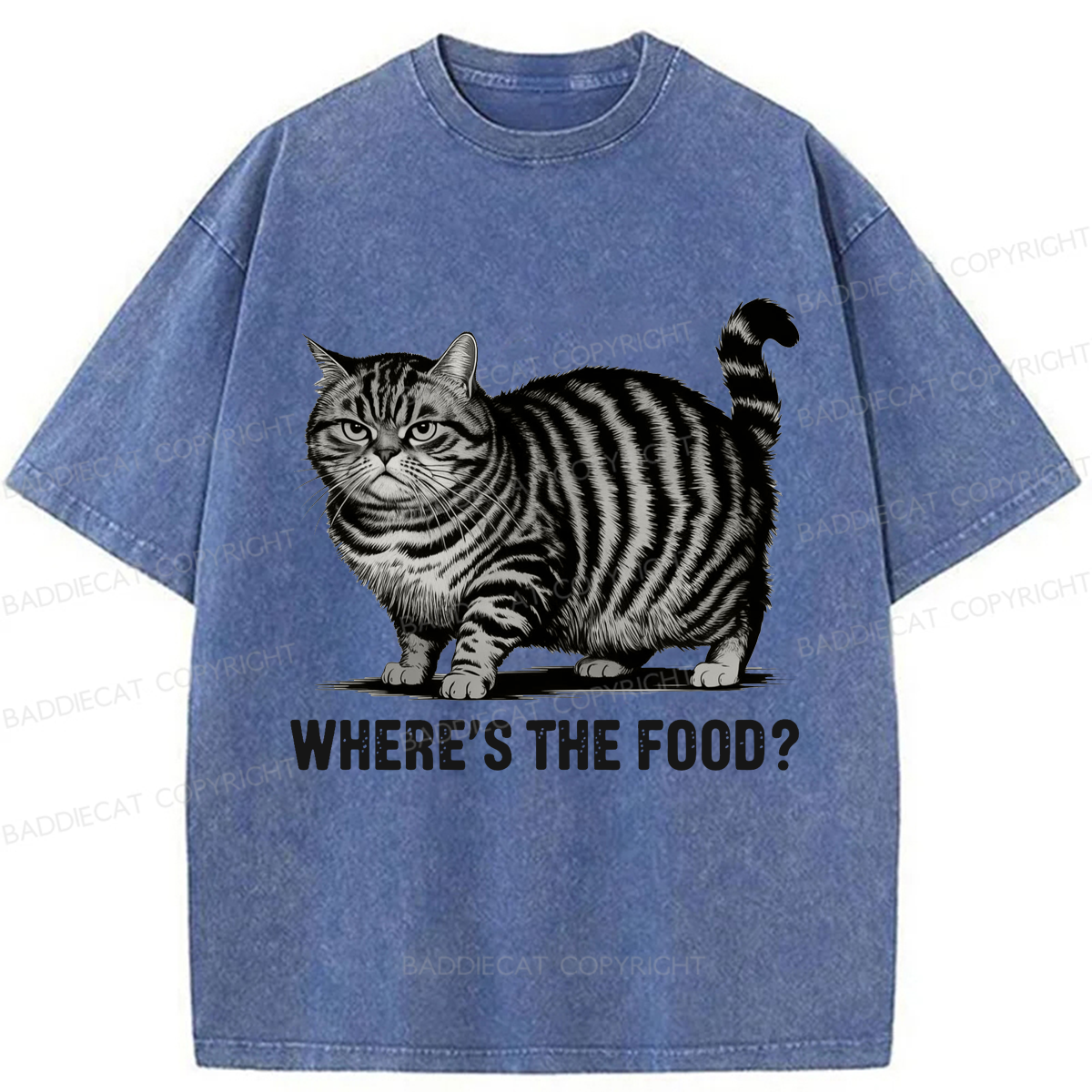 Baddiecat Funny Fat Cat Washed T-shirt