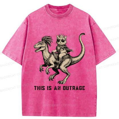 Baddiecat Princess Donut And Mongo Washed T-shirt