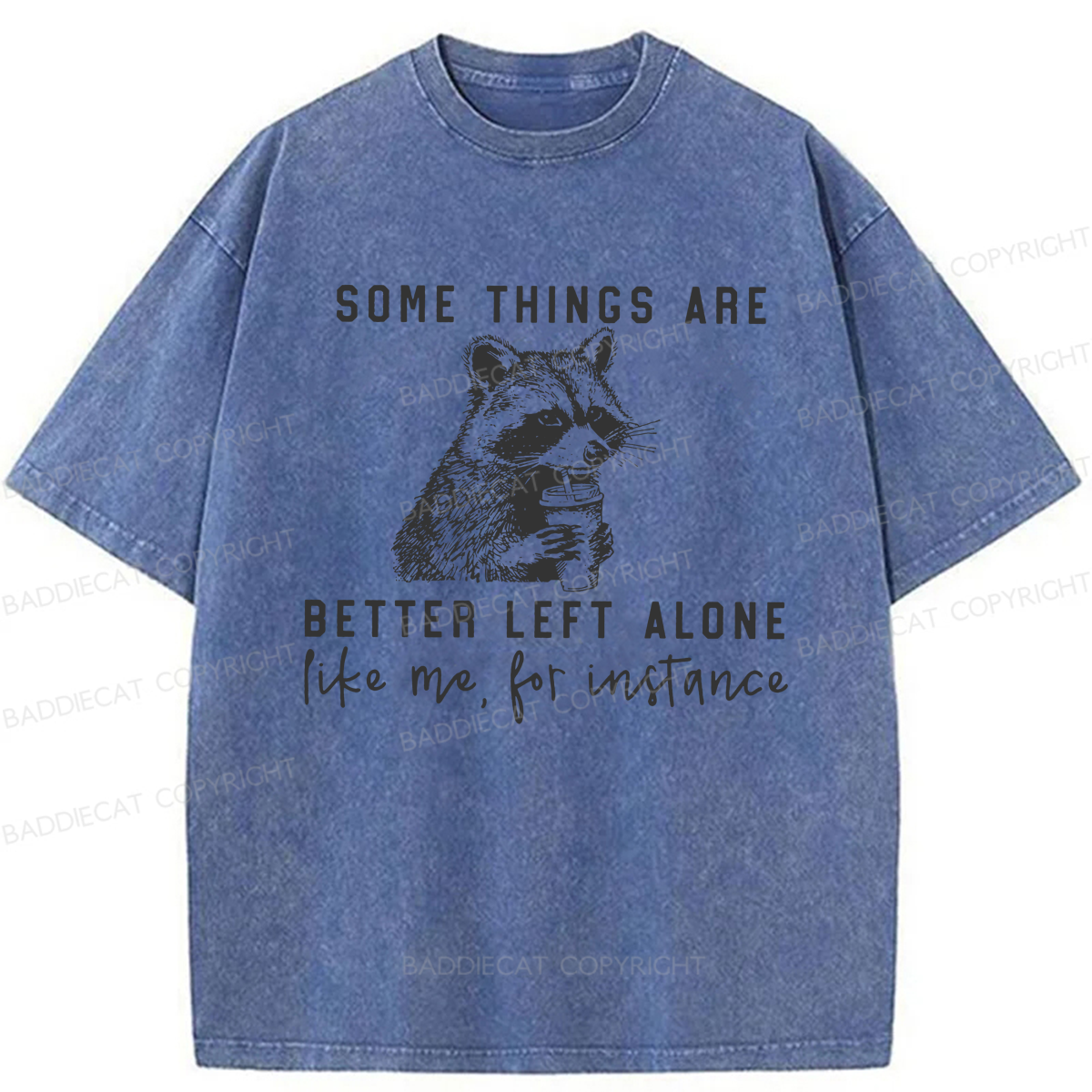 Baddiecat Raccoon Some Things Are Better Left Alone Washed T-shirt