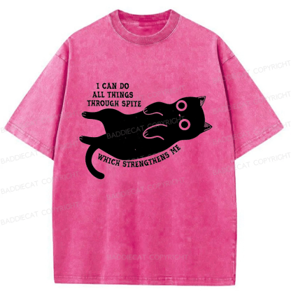 Baddiecat I Can Do All Things Spiteful Cat Washed T-shirt