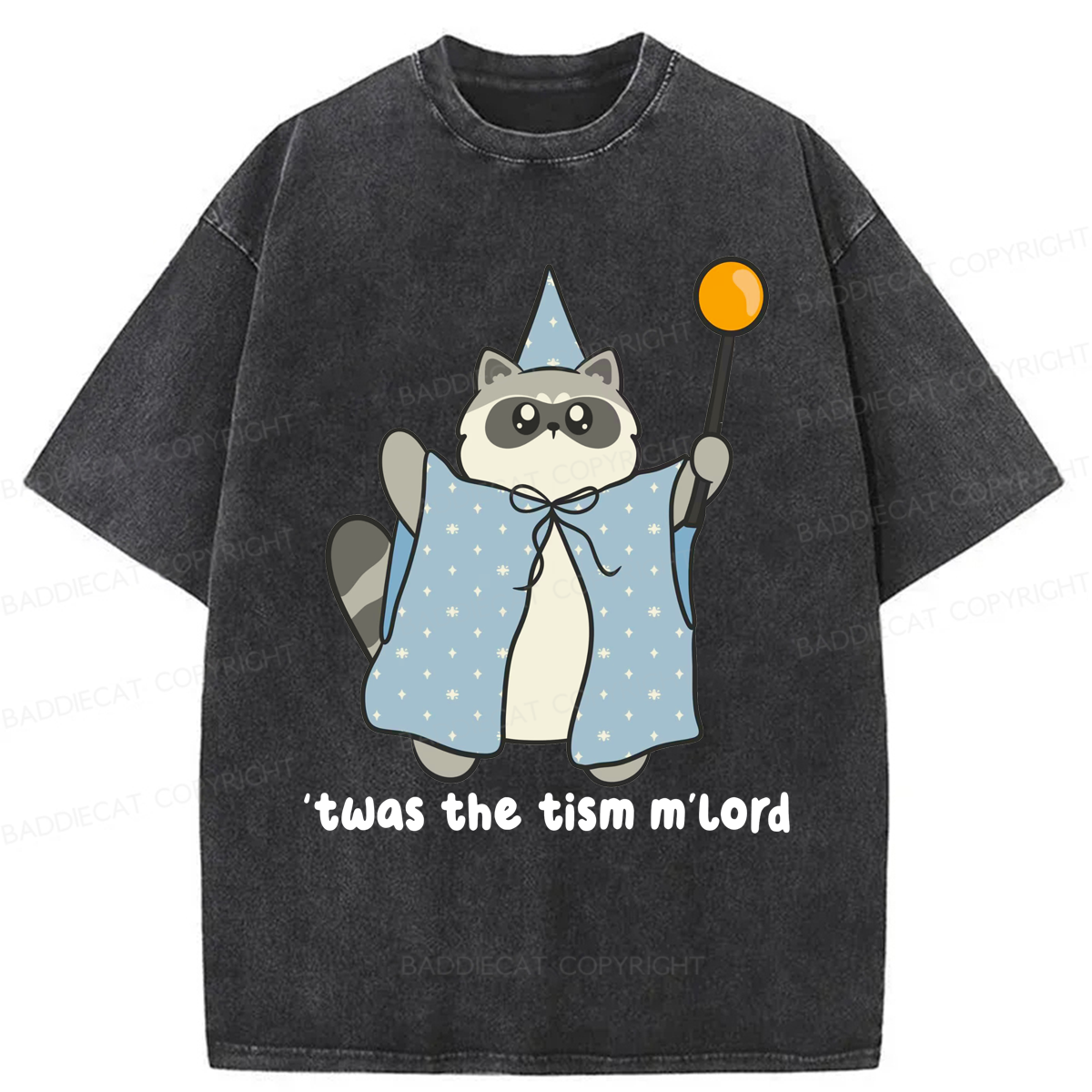 Baddiecat Twas The Tism M'lord Washed T-shirt