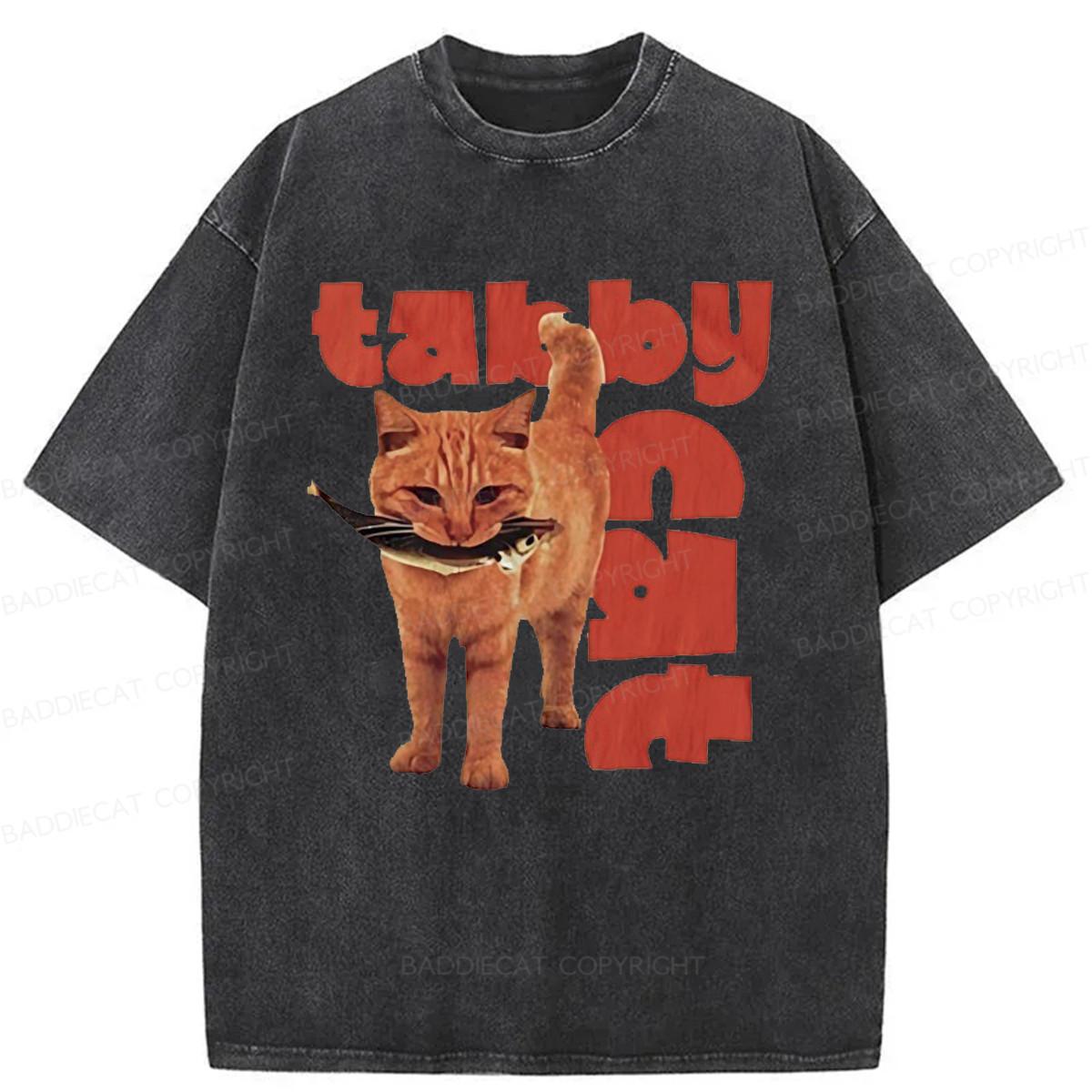 Baddiecat Tabby Cat Washed T-shirt