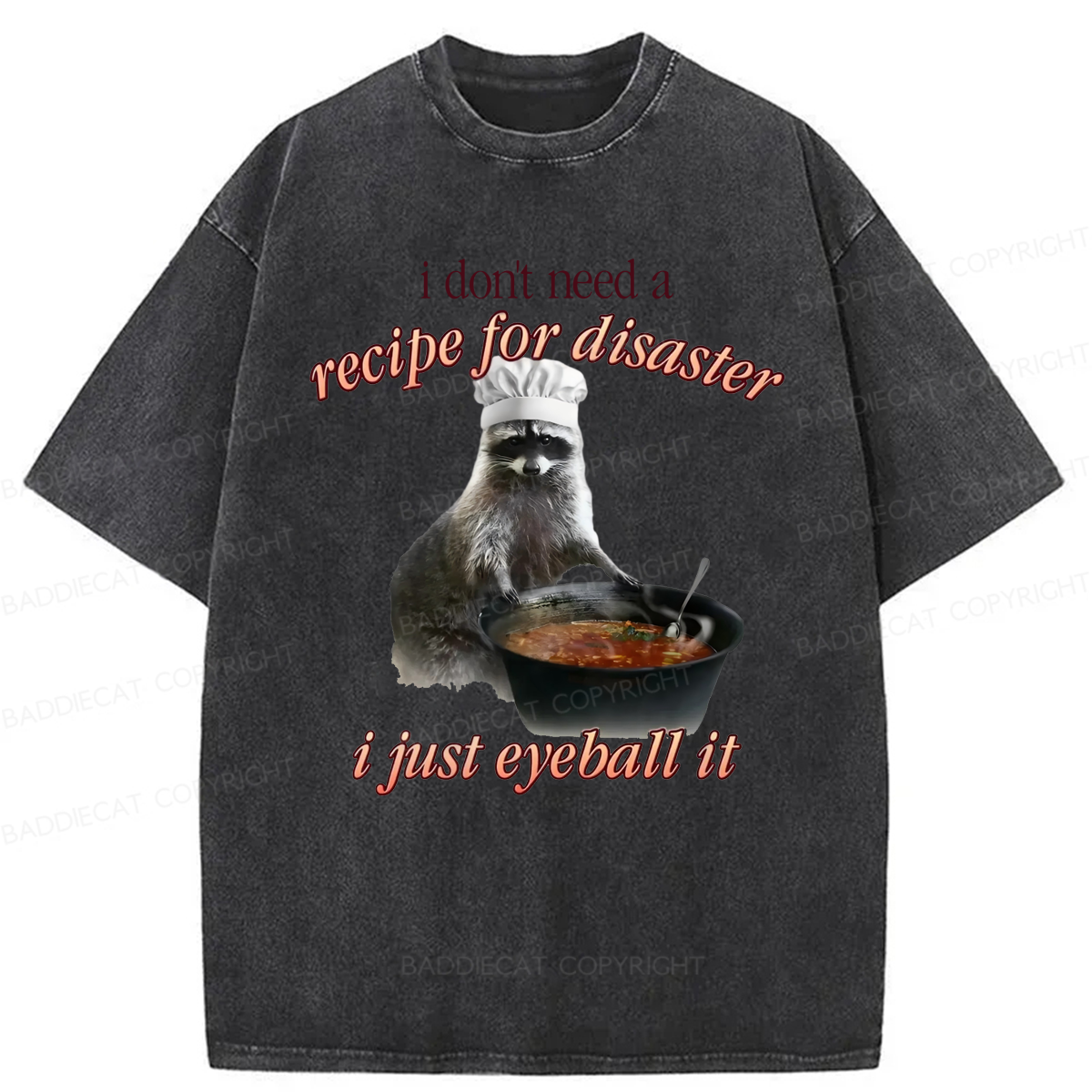 Baddiecat I Don't Need A Recipe For Disaster Washed T-shirt