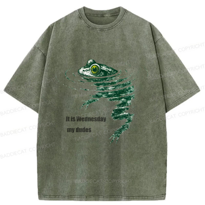 Baddiecat Frog Swimming Washed T-shirt