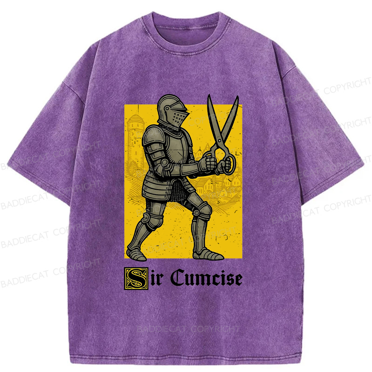 Baddiecat Humor Knight Washed T-shirt