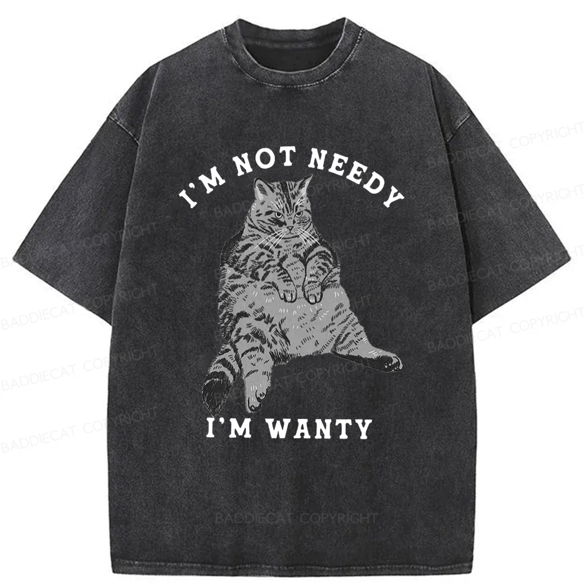 Baddiecat I Am Not Needy I Am Wanty Washed T-shirt