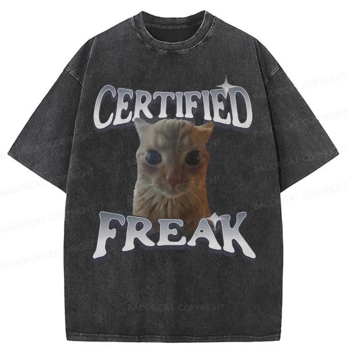 Baddiecat Certified Freak Funny Cat Washed T-shirt