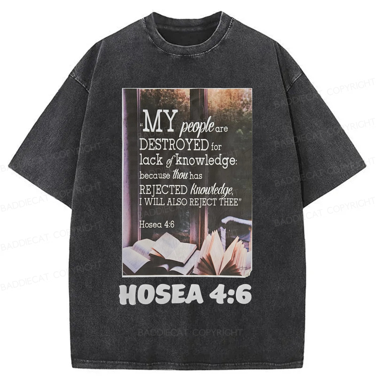 Baddiecat My People Have Been Destroyed Washed T-shirt