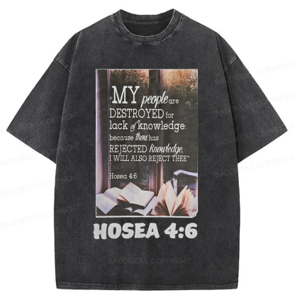 Baddiecat My People Have Been Destroyed Washed T-shirt