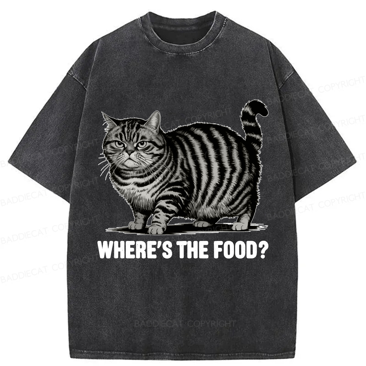 Baddiecat Funny Fat Cat Washed T-shirt