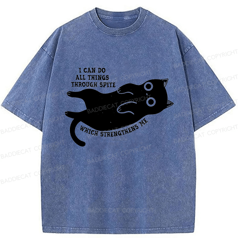 Baddiecat I Can Do All Things Spiteful Cat Washed T-shirt