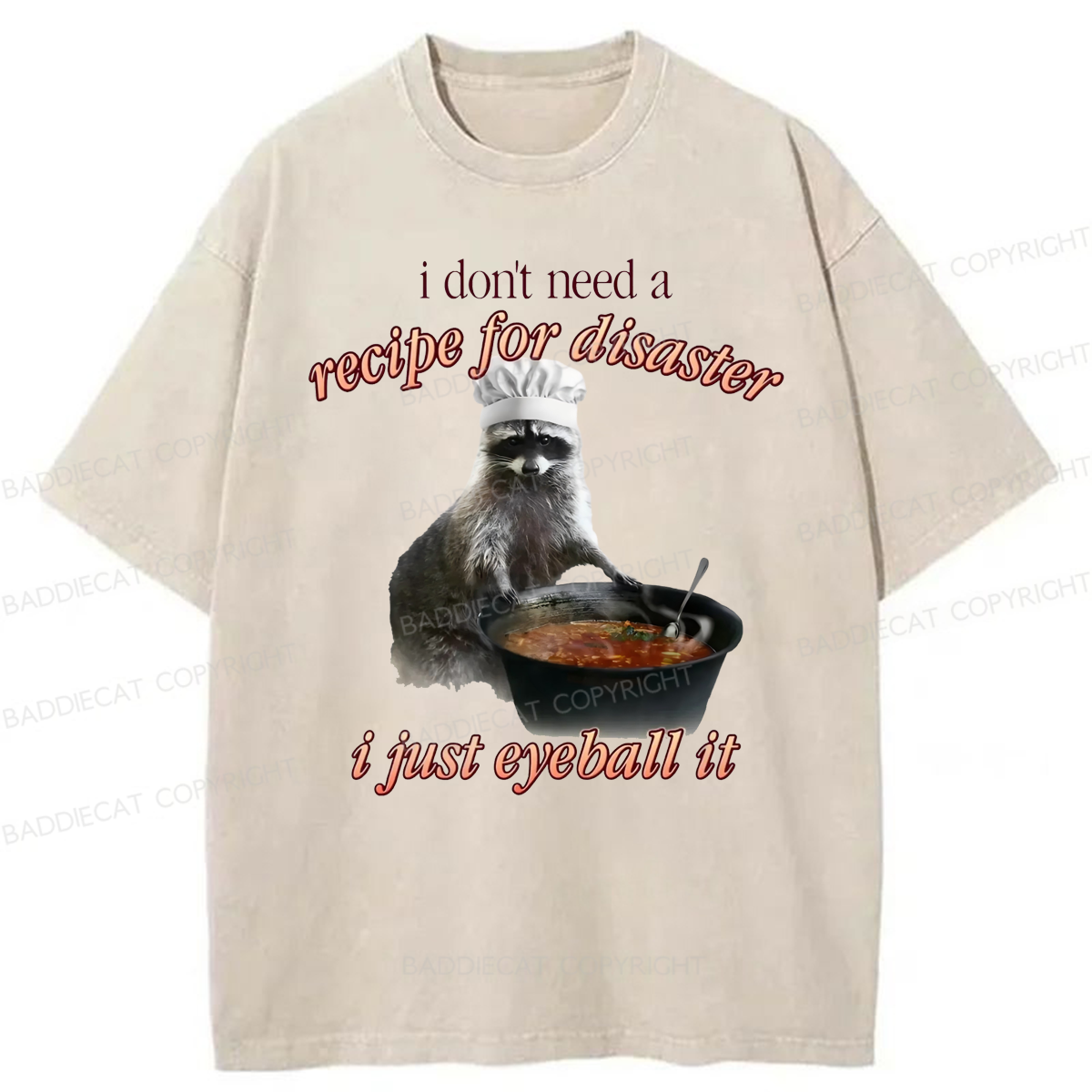 Baddiecat I Don't Need A Recipe For Disaster Washed T-shirt