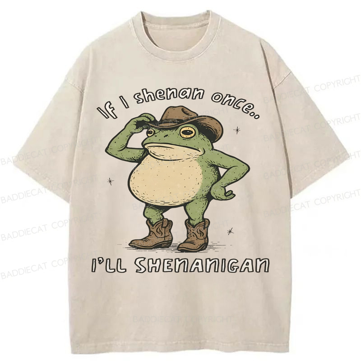 Baddiecat If I Shenan Once I'll Shenanigan Washed T-shirt