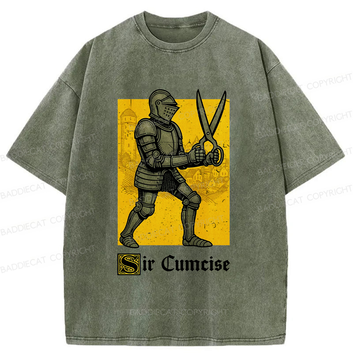Baddiecat Humor Knight Washed T-shirt