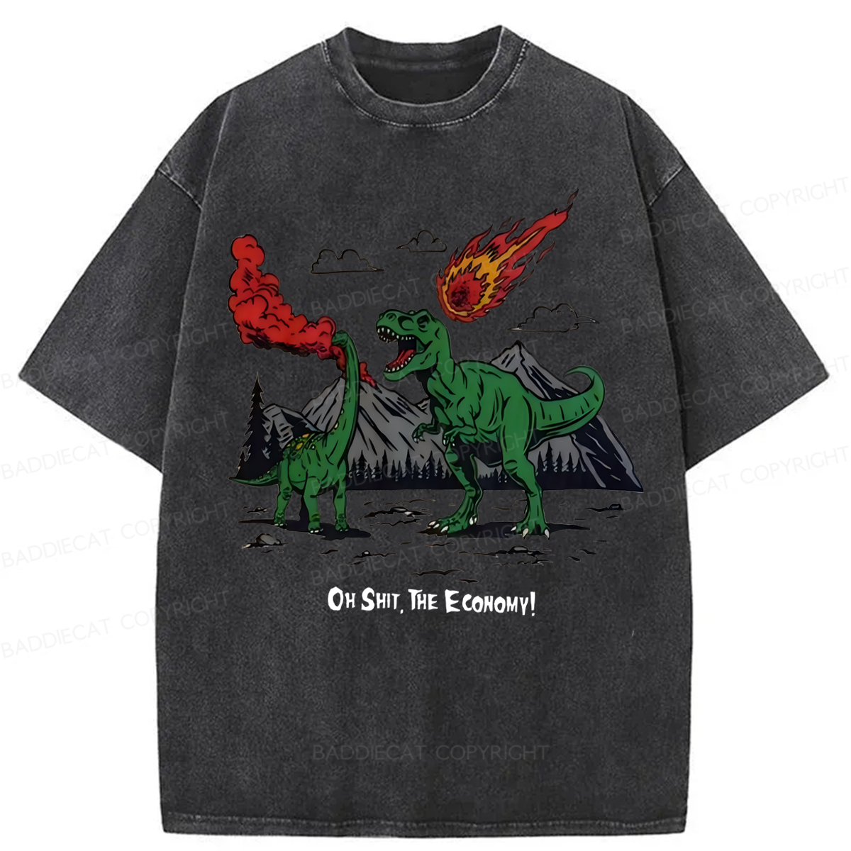 Baddiecat Funny Dinosaur Economy Washed T-shirt
