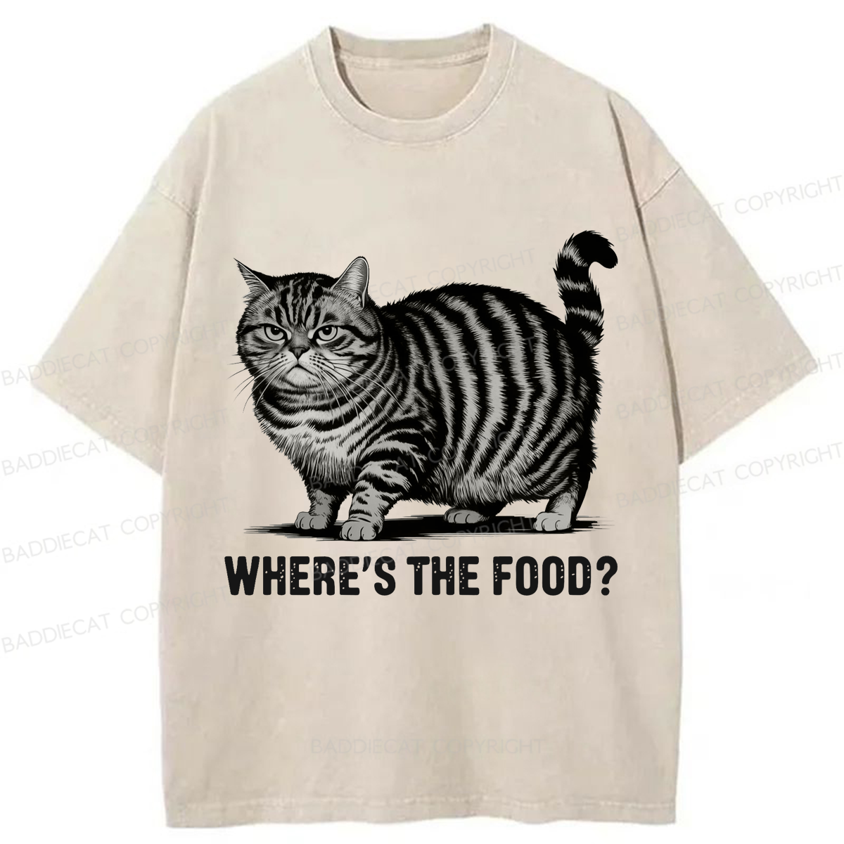 Baddiecat Funny Fat Cat Washed T-shirt
