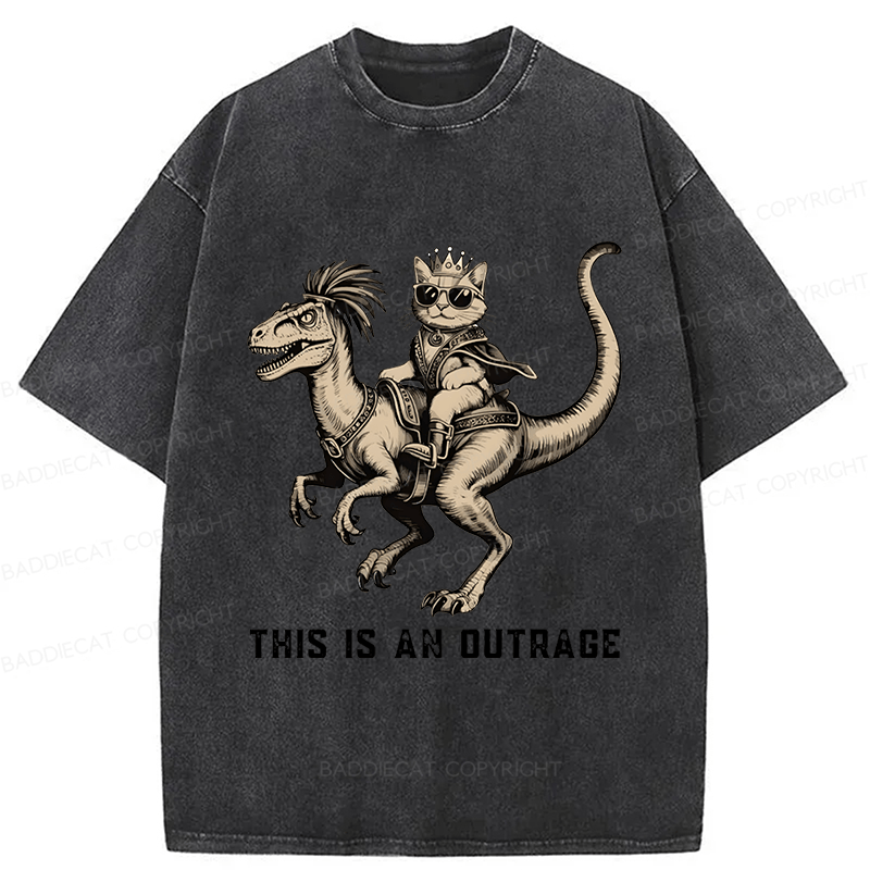 Baddiecat Princess Donut And Mongo Washed T-shirt