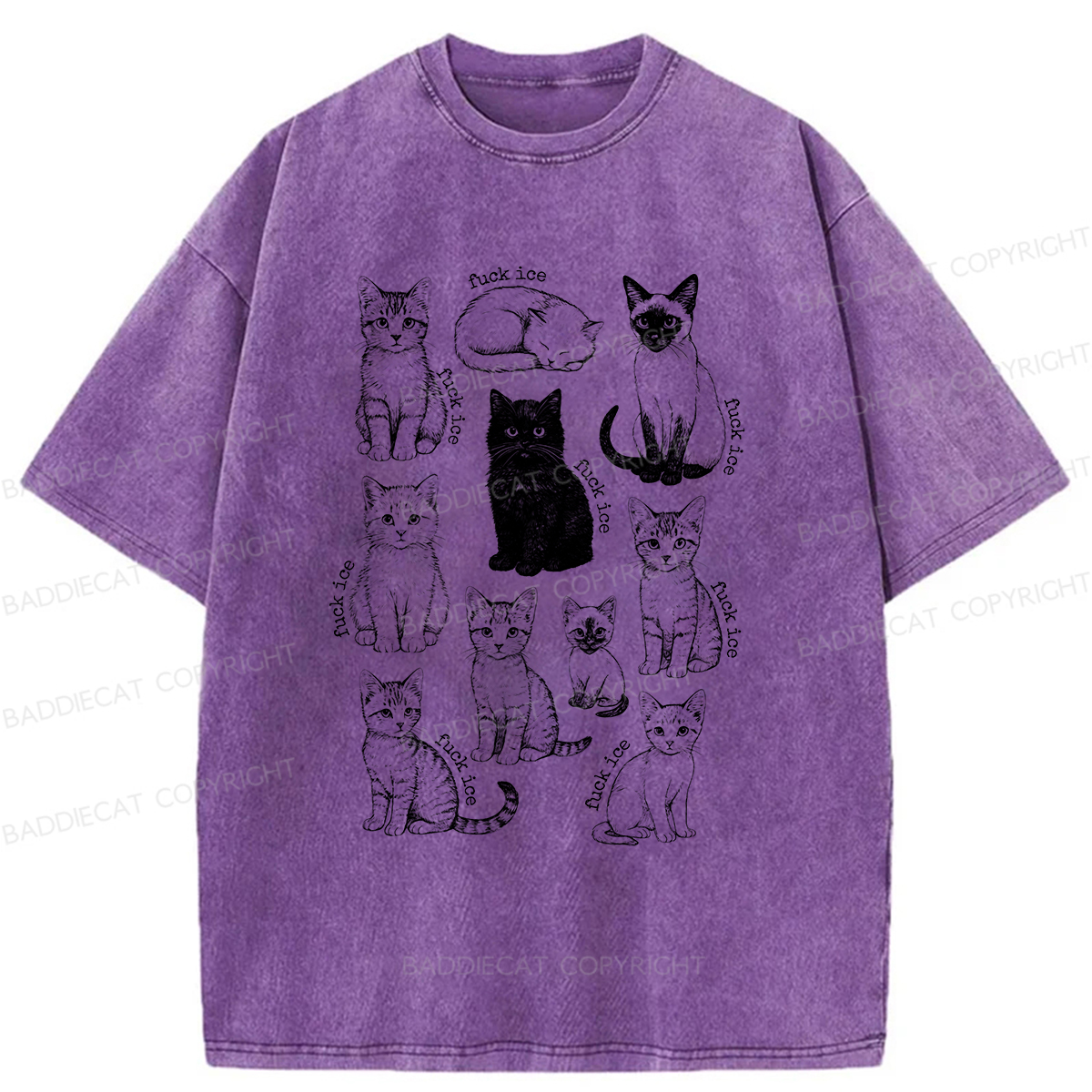 Baddiecat Don't Have Ice Cube Cats Washed T-shirt