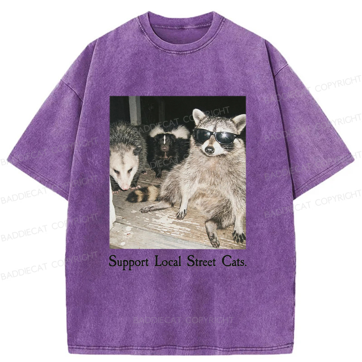 Baddiecat Support Local Street Cats Washed T-shirt