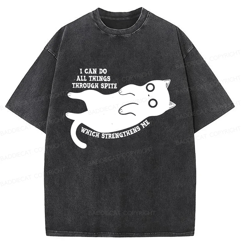 Baddiecat I Can Do All Things Spiteful Cat Washed T-shirt