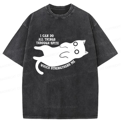 Baddiecat I Can Do All Things Spiteful Cat Washed T-shirt