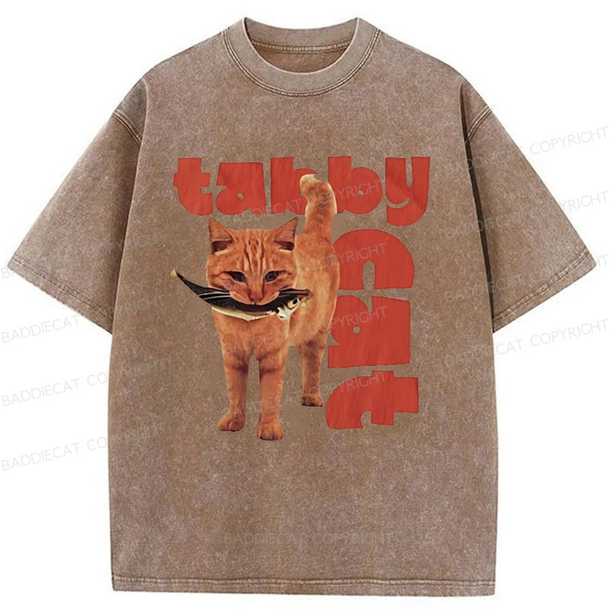 Baddiecat Tabby Cat Washed T-shirt