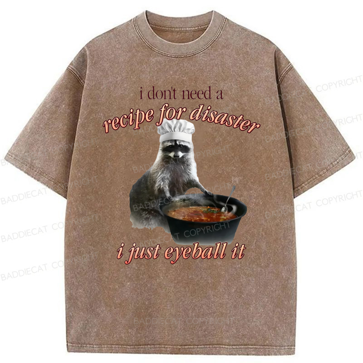 Baddiecat I Don't Need A Recipe For Disaster Washed T-shirt