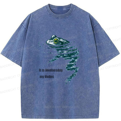 Baddiecat Frog Swimming Washed T-shirt
