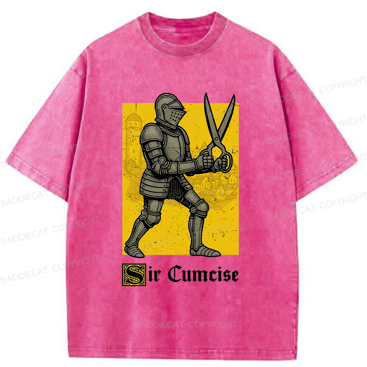 Baddiecat Humor Knight Washed T-shirt
