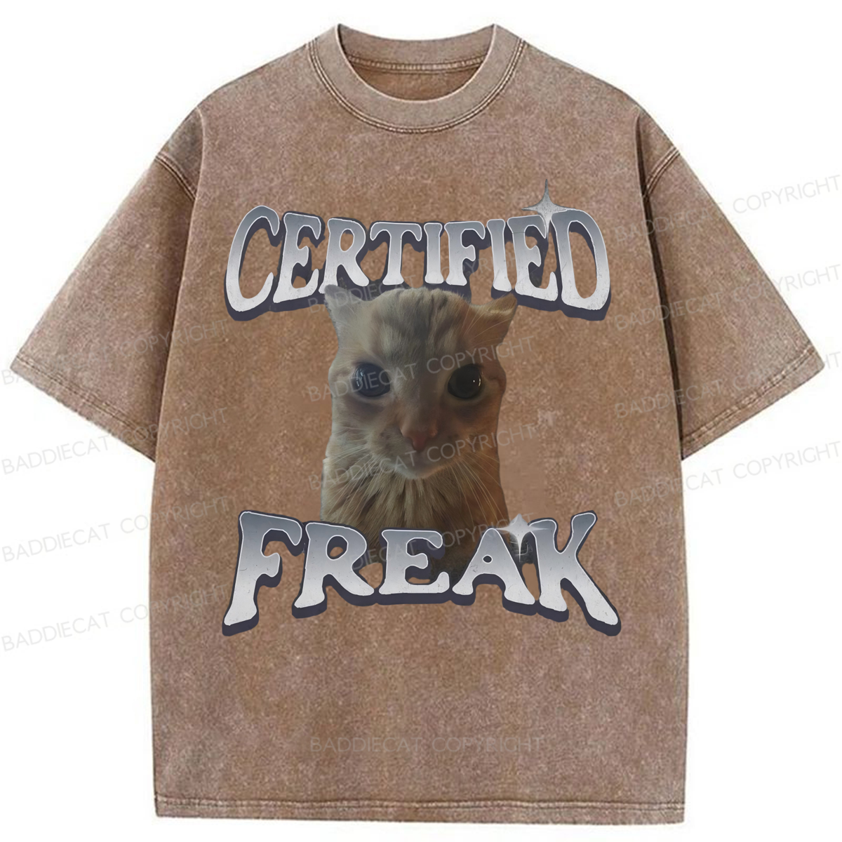 Baddiecat Certified Freak Funny Cat Washed T-shirt