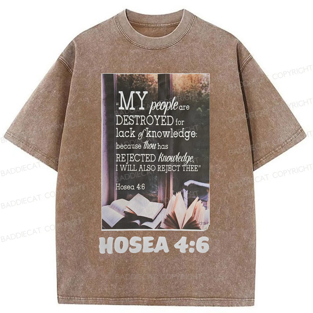 Baddiecat My People Have Been Destroyed Washed T-shirt