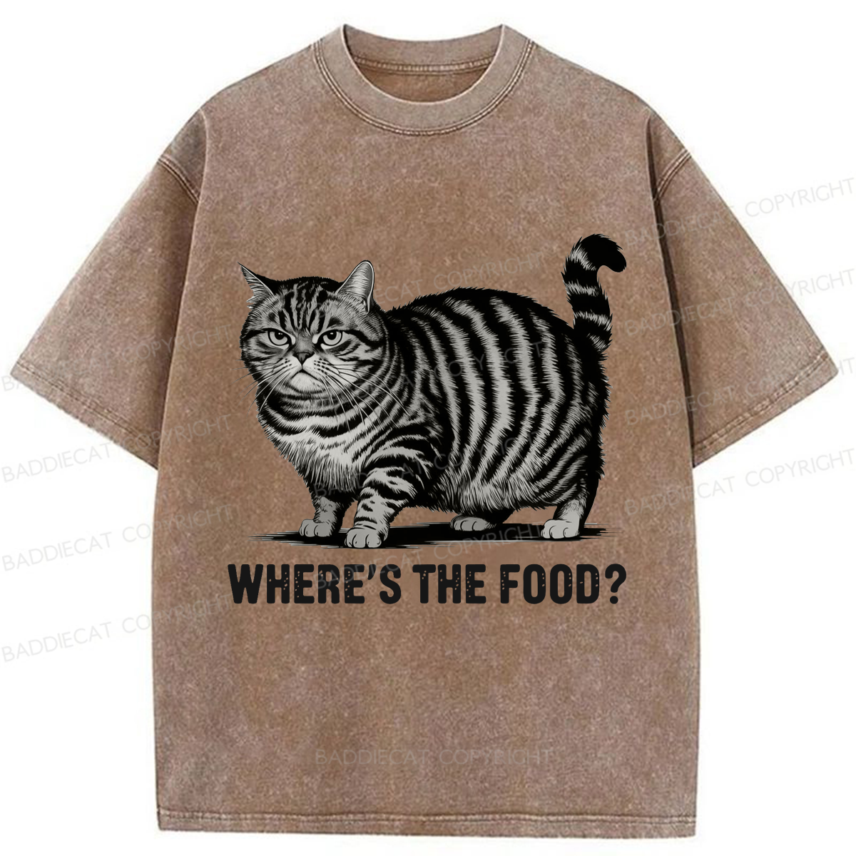 Baddiecat Funny Fat Cat Washed T-shirt