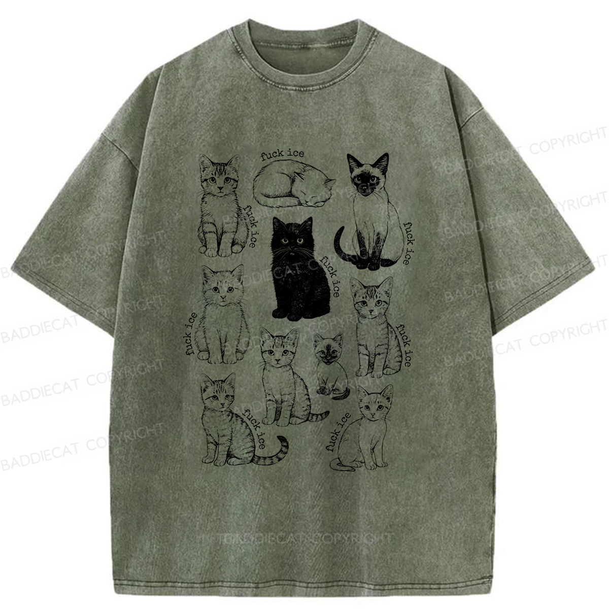 Baddiecat Don't Have Ice Cube Cats Washed T-shirt