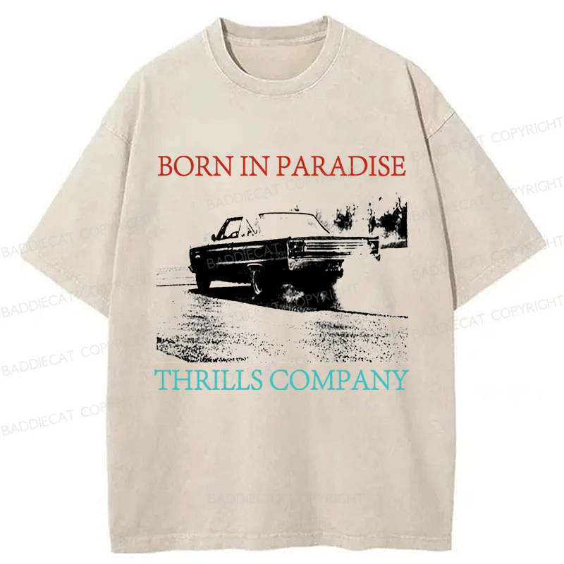 Baddiecat Thrills Metal Dust Washed T-shirt