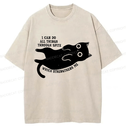 Baddiecat I Can Do All Things Spiteful Cat Washed T-shirt