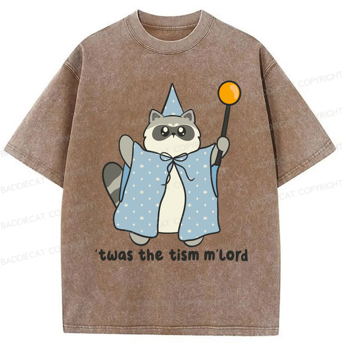 Baddiecat Twas The Tism M'lord Washed T-shirt