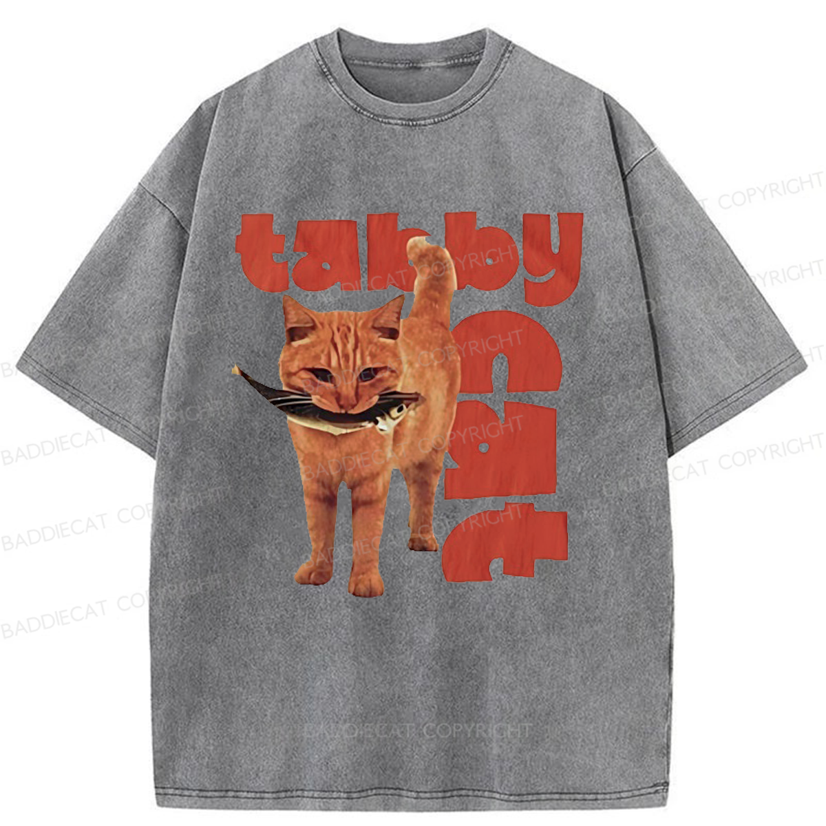 Baddiecat Tabby Cat Washed T-shirt