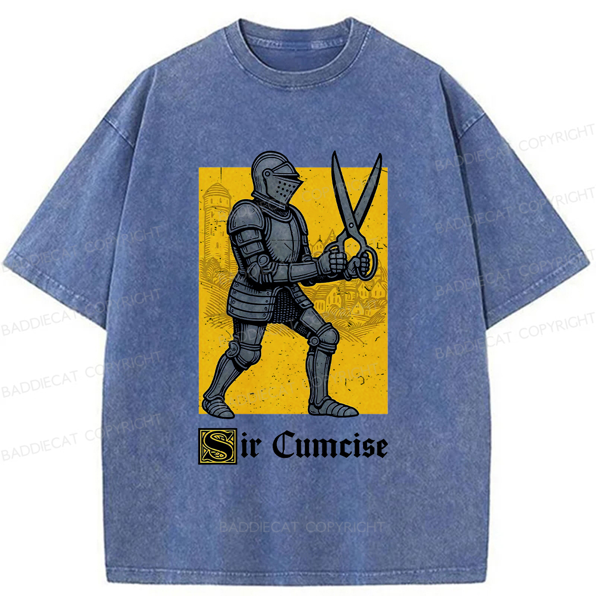Baddiecat Humor Knight Washed T-shirt