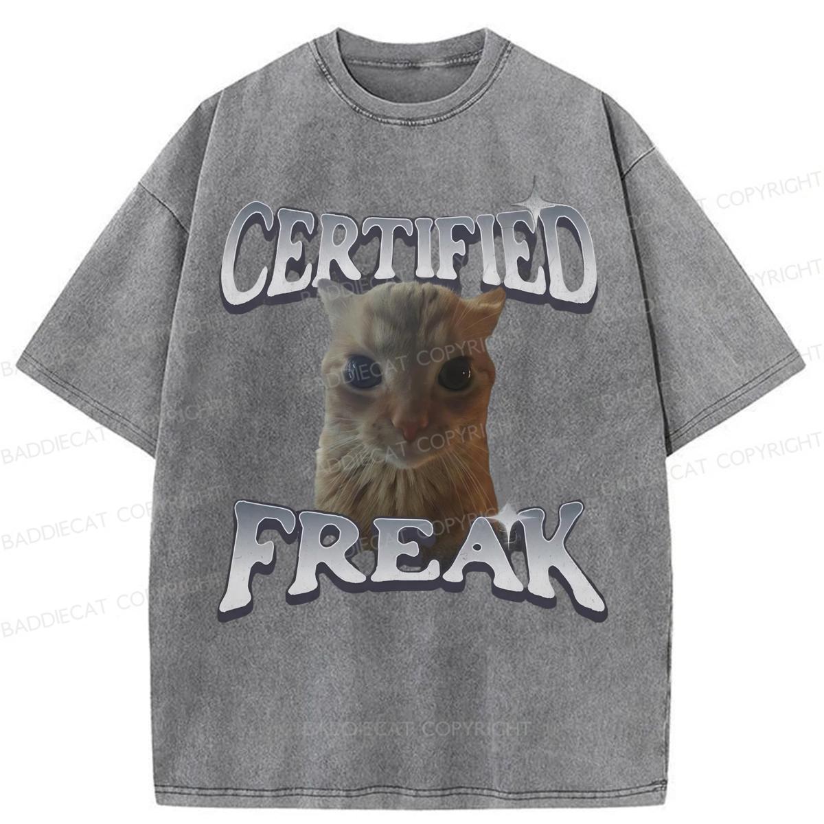 Baddiecat Certified Freak Funny Cat Washed T-shirt