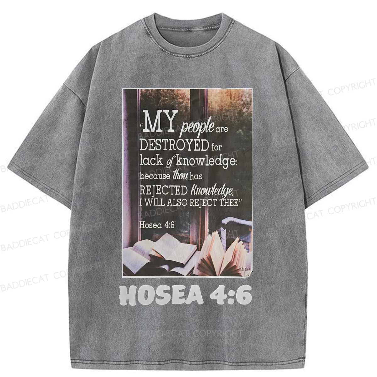 Baddiecat My People Have Been Destroyed Washed T-shirt