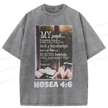 Baddiecat My People Have Been Destroyed Washed T-shirt