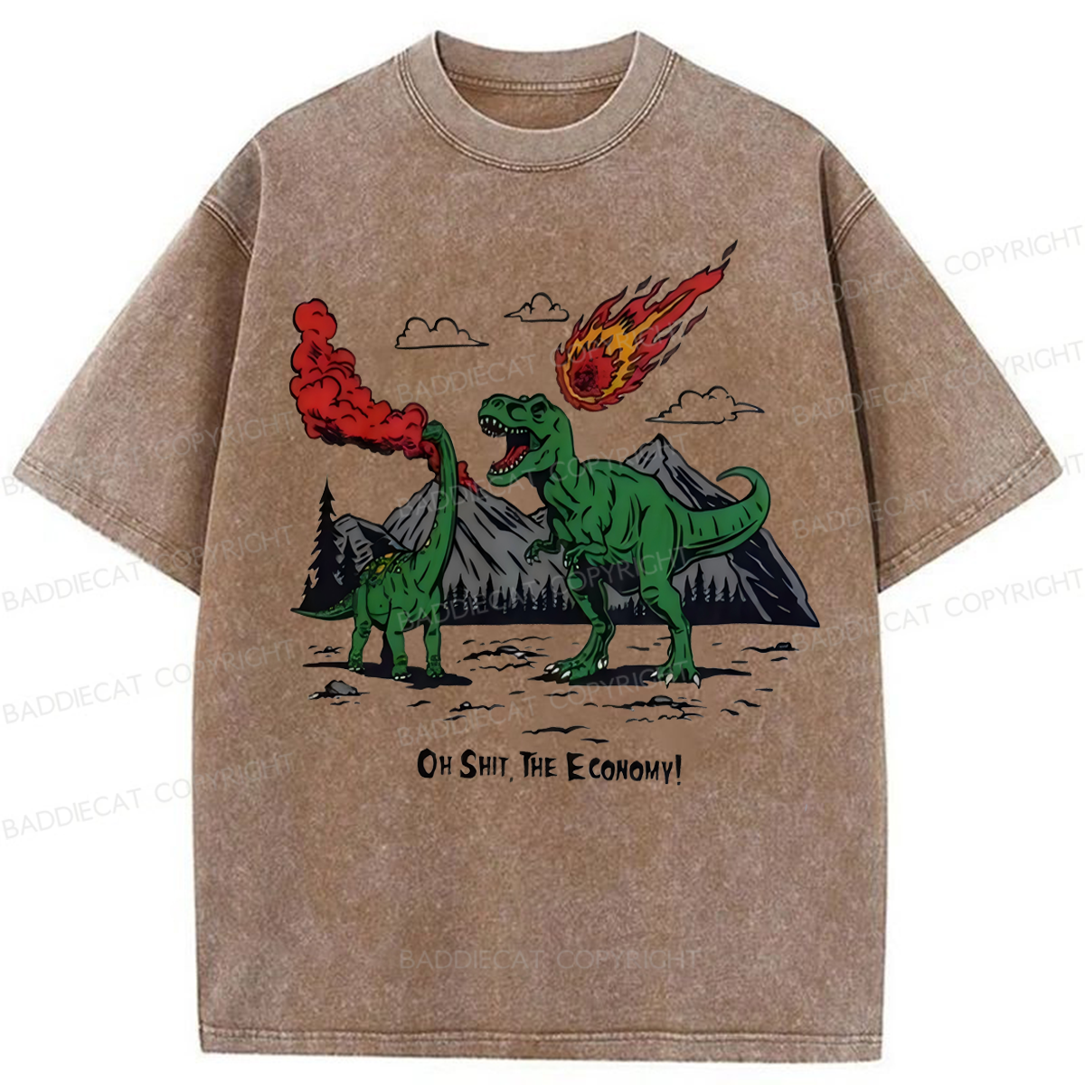 Baddiecat Funny Dinosaur Economy Washed T-shirt