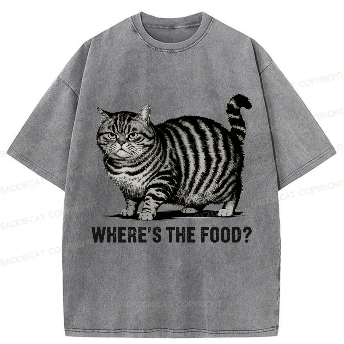 Baddiecat Funny Fat Cat Washed T-shirt