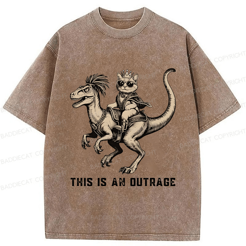 Baddiecat Princess Donut And Mongo Washed T-shirt
