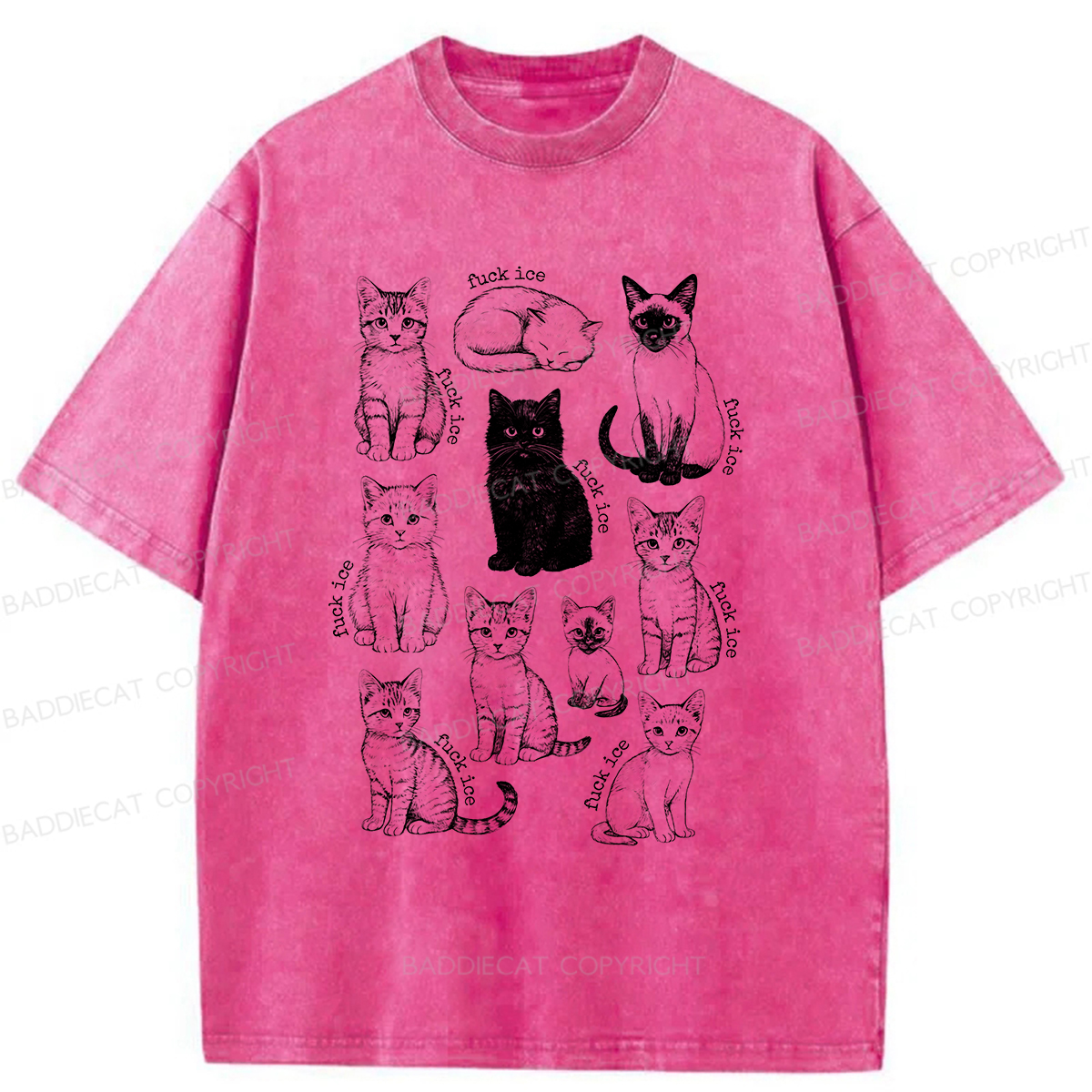 Baddiecat Don't Have Ice Cube Cats Washed T-shirt