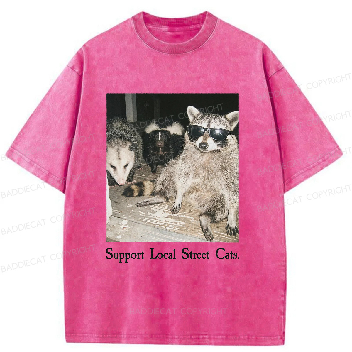 Baddiecat Support Local Street Cats Washed T-shirt